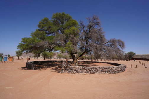 Demarcated campsites at Sesriem Camping Sossusvlei