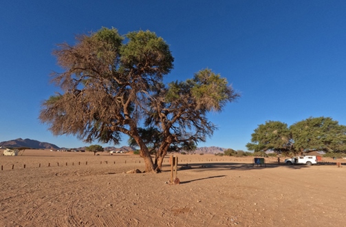 Set up camp on the edge of the desert at Sesriem Camping Sossusvlei