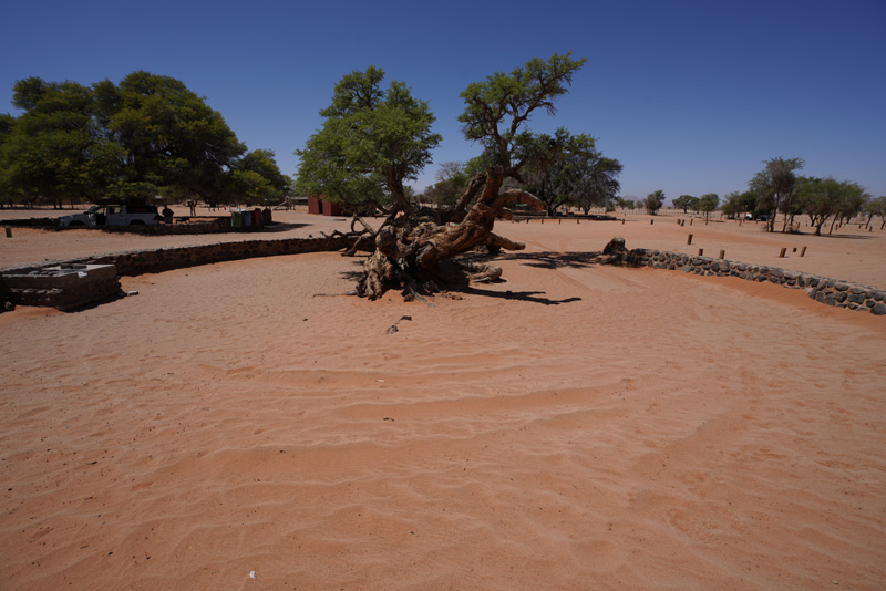 Sandy campsites at Sesriem Camping Sossusvlei