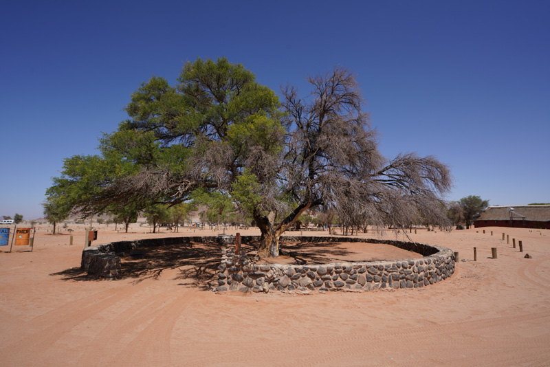 Some campsites are demarcated at Sesriem Camping Sossusvlei